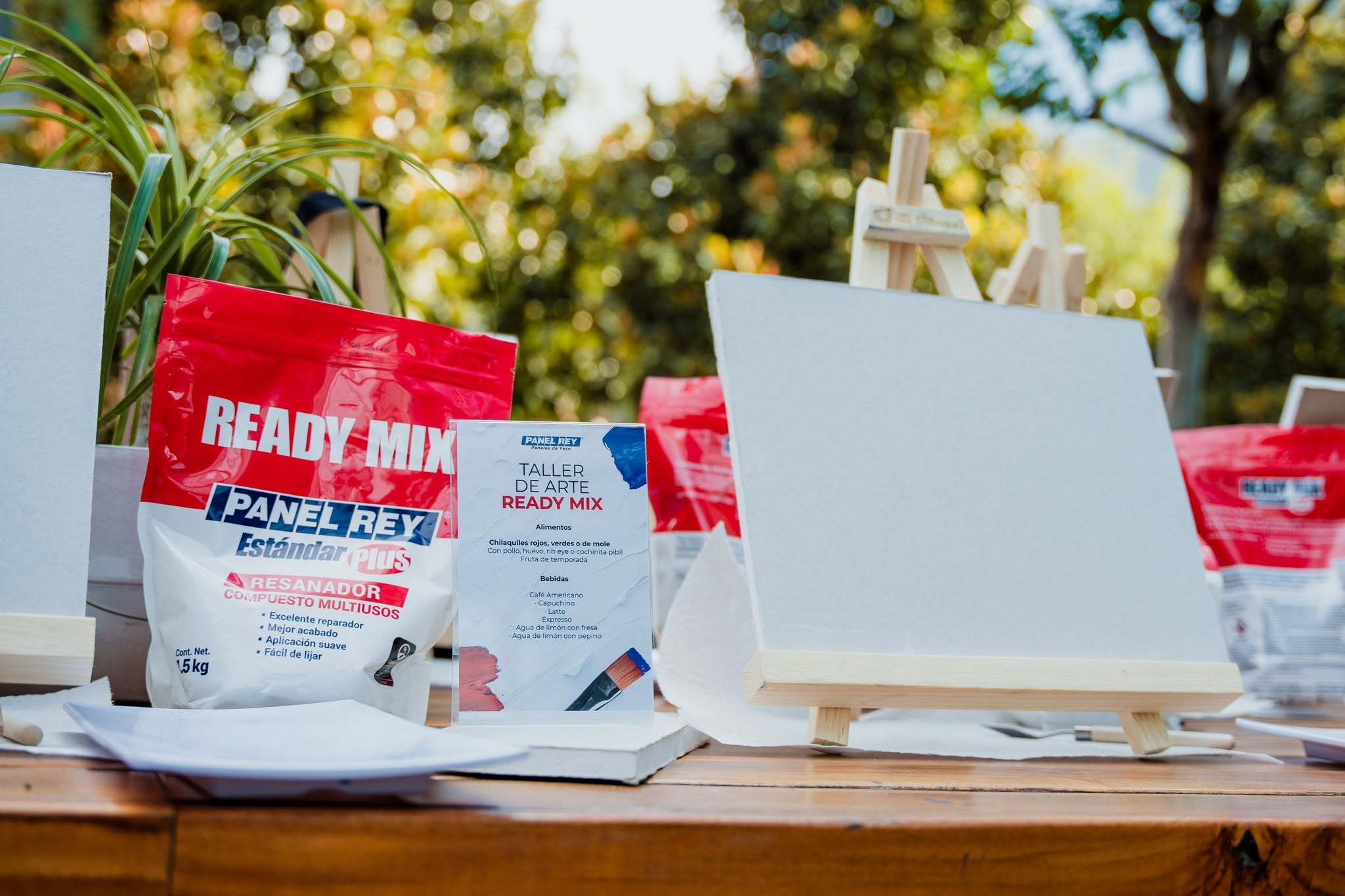 Primer Taller de Arte Ready Mix Panel Rey