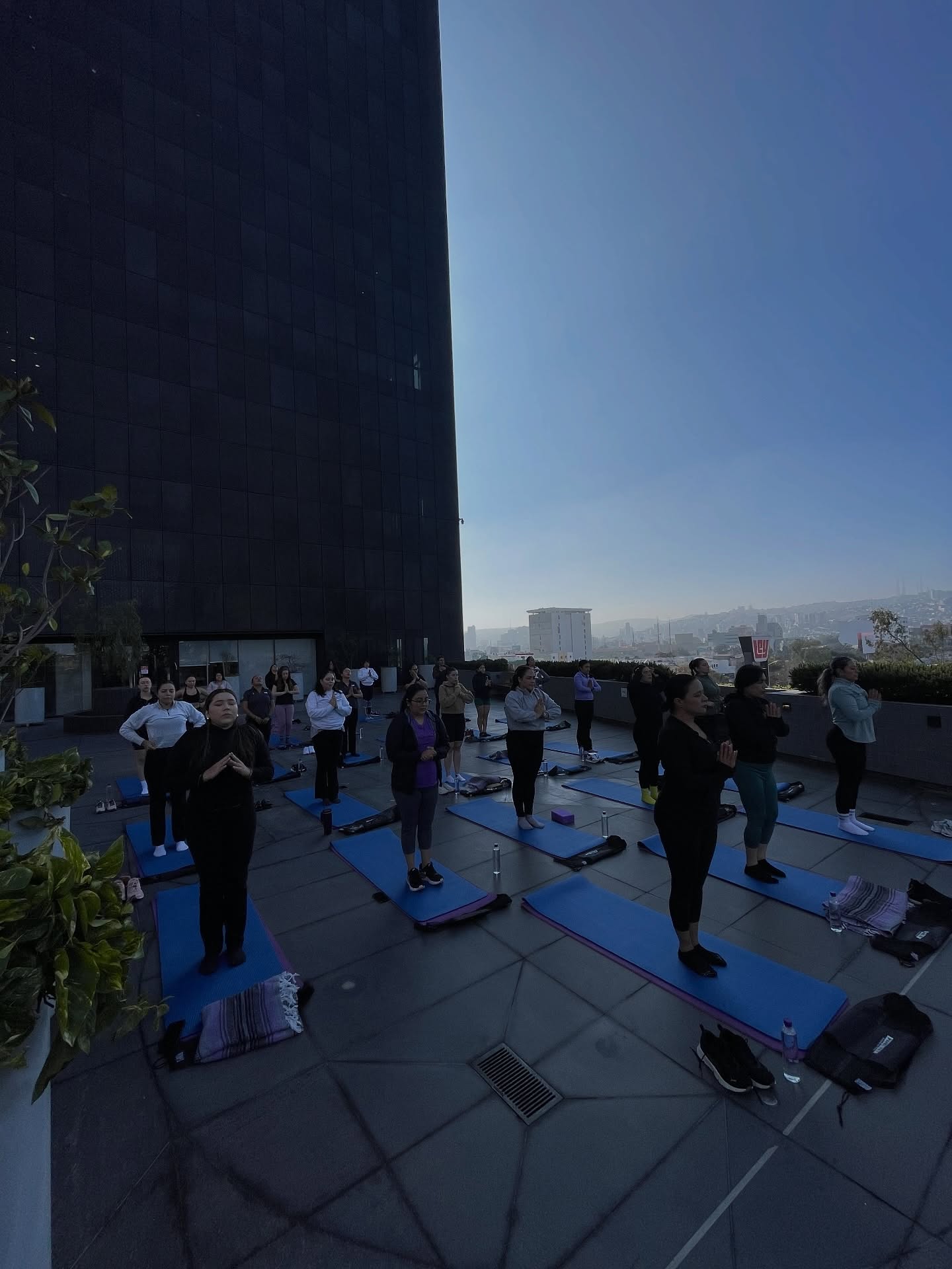 PanelReyExperience — Yoga + Brunch + Capacitación de Acústica