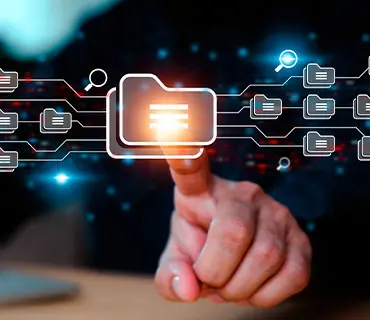 Sección de descargas y reportes